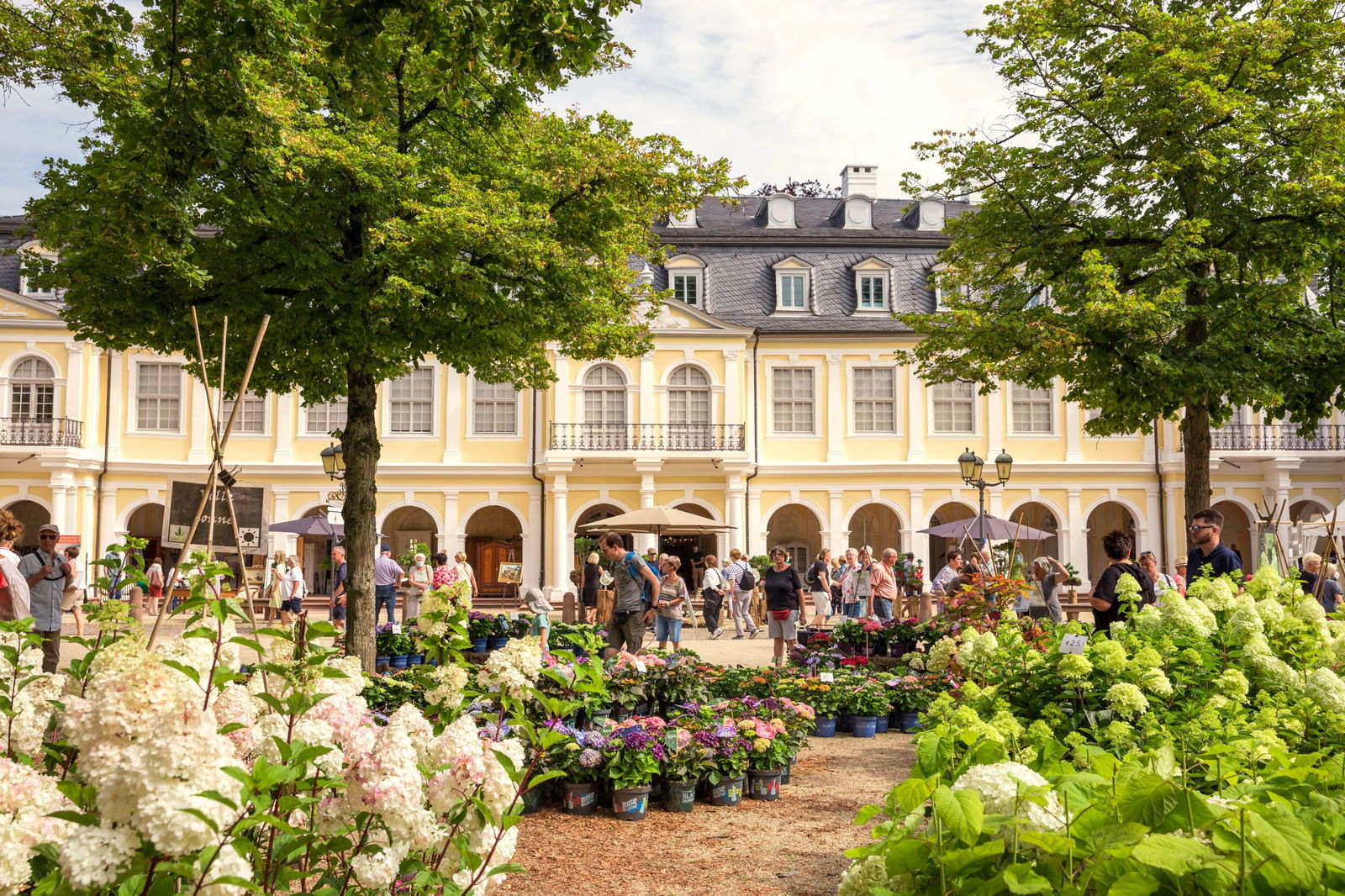 Besuchen Sie uns beim Gartenfest Wilhelmsbad